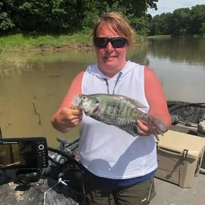 Meet your Posher, Dawn